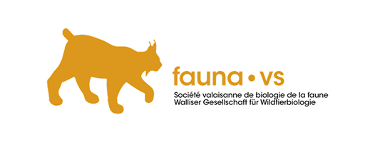 Logo Fauna VS