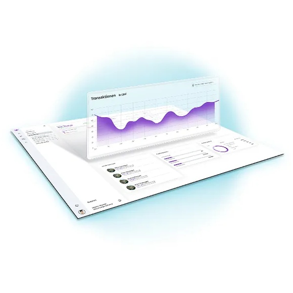 Fundraising & Website Analytics