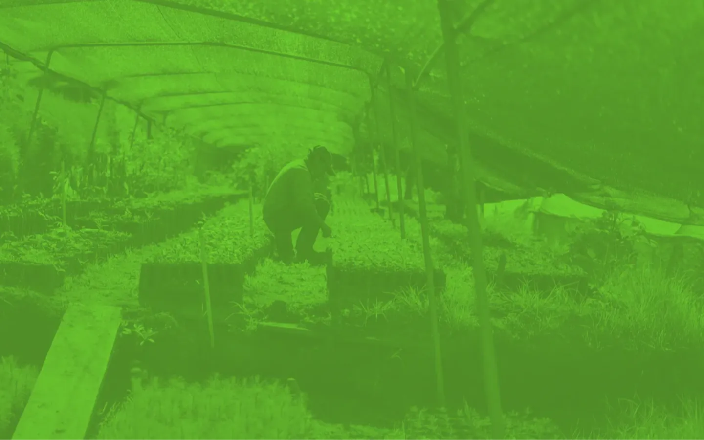 Ernährungsbericht 2022 der Allianz Sufosec