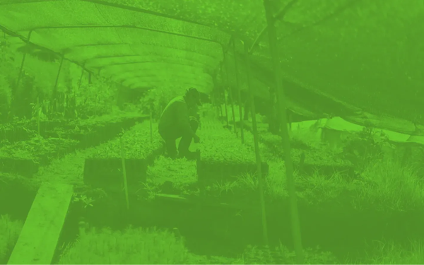 Ernährungsbericht 2022 der Allianz Sufosec