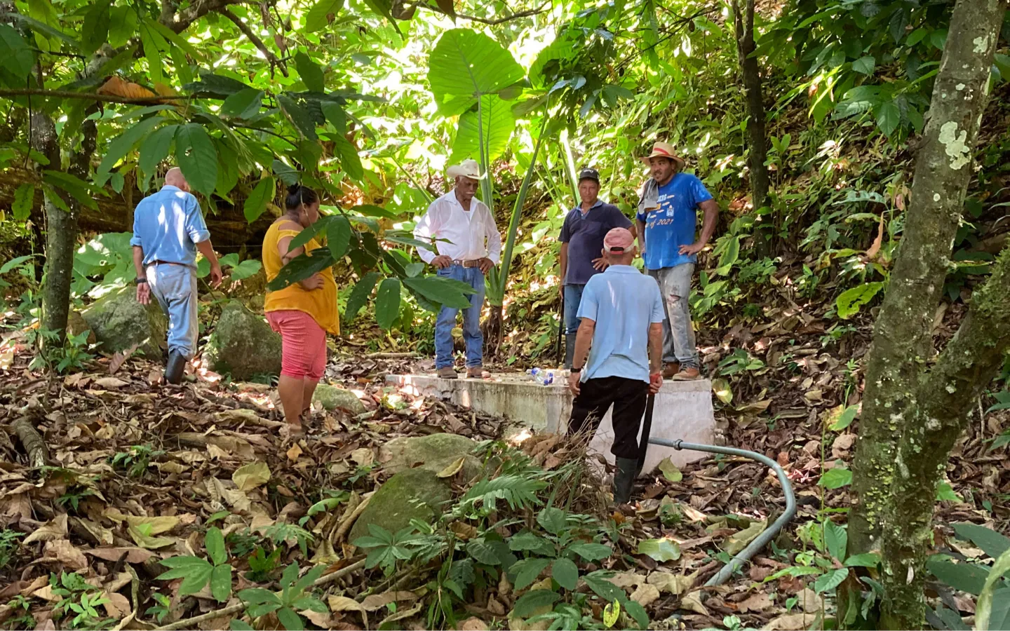 Von dieser Quellfassung führt die Wasserleitung ins Dorf Quebrada Galana im Norden von Honduras. Die Dorfgemeinschaft hat die neue Wasserversorgung unter fachkundiger Anleitung selbst gebaut. Sie versorgt 240 Menschen mit sauberem Trinkwasser.