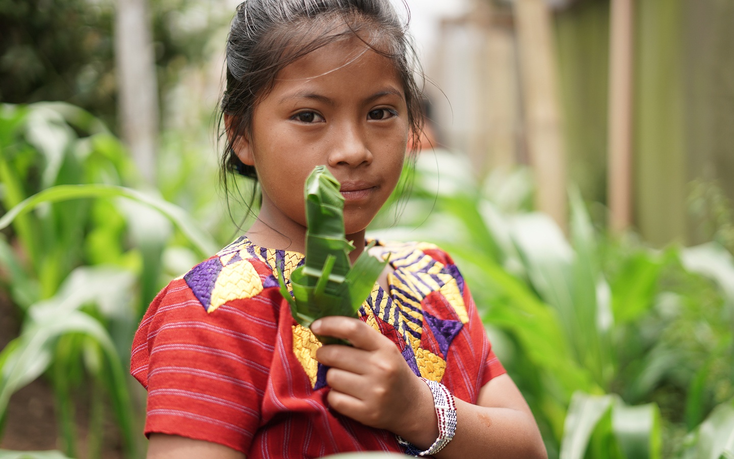 Foto: Morena Pérez Joachin / Vivamos / Fairpicture – Sololá, Guatemala
