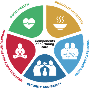 Graphique : Nurturing Care